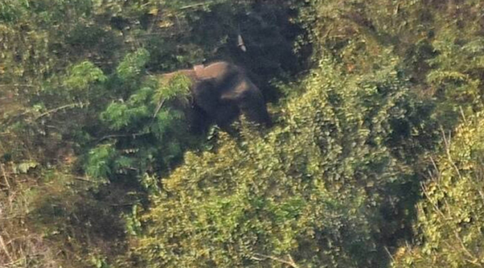 വയനാട്ടില് സ്പെഷല് ഓഫീസറെ നിയമിക്കാന് തീരുമാനം; ജില്ലയിലെ ജനപ്രതിനിധികളുമായി ചര്ച്ച നടത്തി മുഖ്യമന്ത്രി