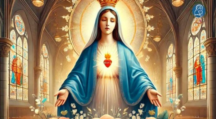 കൊളംബസില് പരിശുദ്ധ കന്യകാമറിയത്തിന്റ ജനന തിരുനാള് ഓഗസ്റ്റ് 31, സെപ്റ്റംബര് ഒന്ന് തീയതികളില്